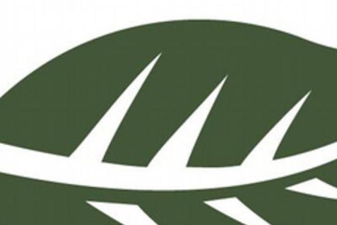 EL_leaf_400x400