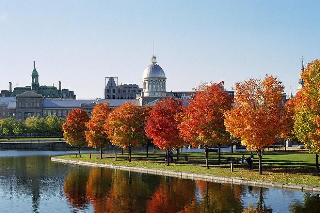 Mtl