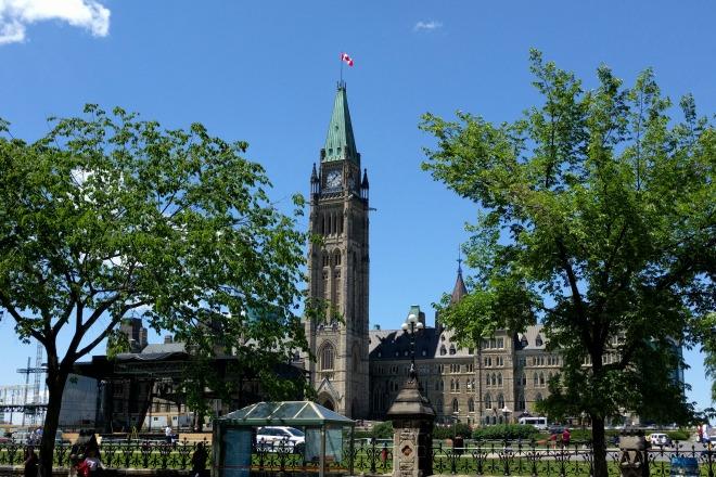 IMG_20160617_133856_0_0